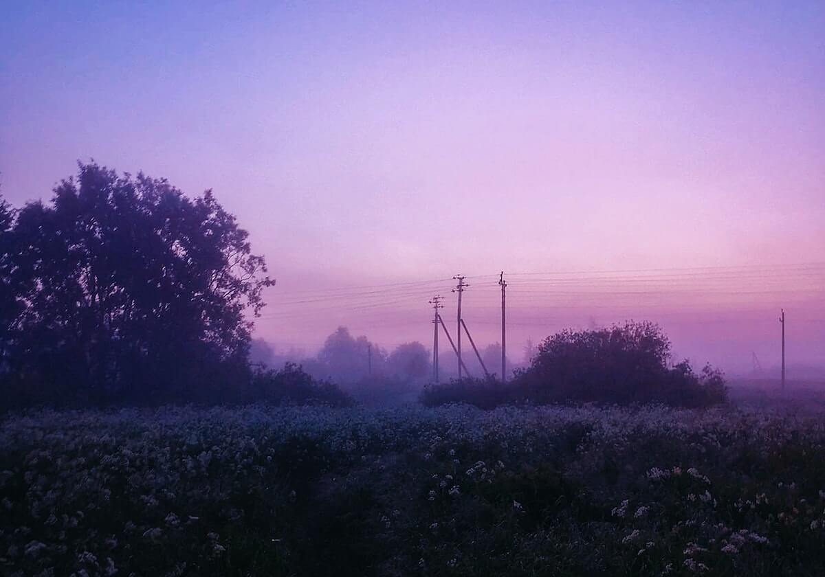 德约科维奇第11次晋级澳网男单决赛，将战阿尔卡拉斯